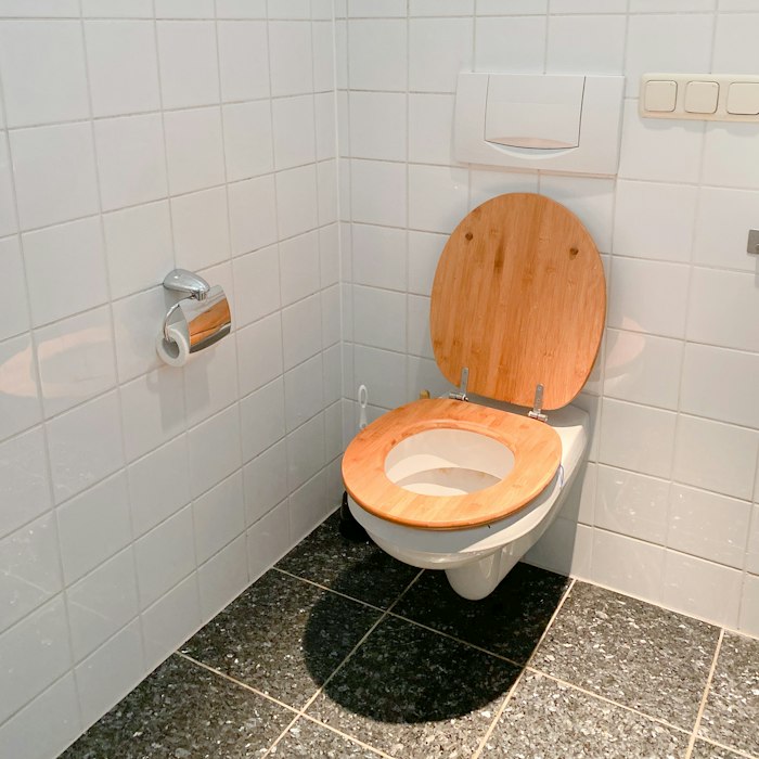 Close coupled toilet installed in a Southport home