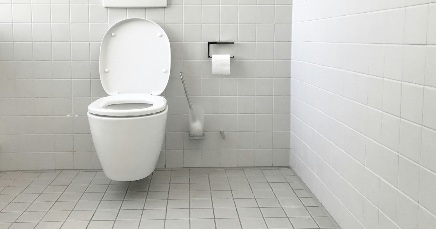Clean toilet installation with dual flush plate in a Southport bathroom